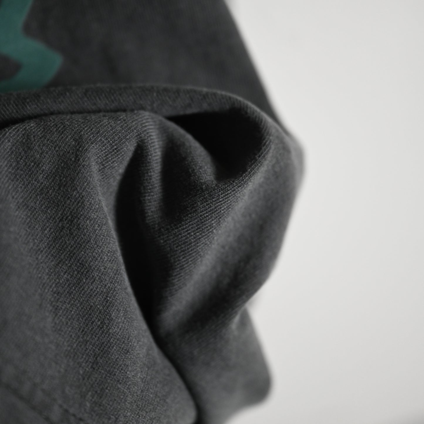 Pigmented GONZ print T-shirt