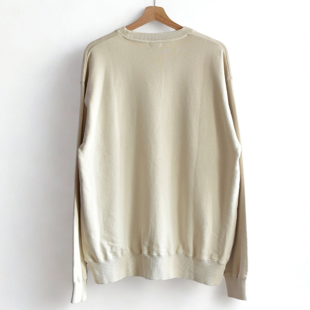 2026AW DOGTOWN 3D print Fish bone pigment crew sweat