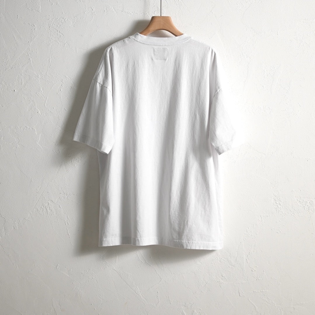 【DOGTOWN】ドローイングクロスピグメントTシャツ