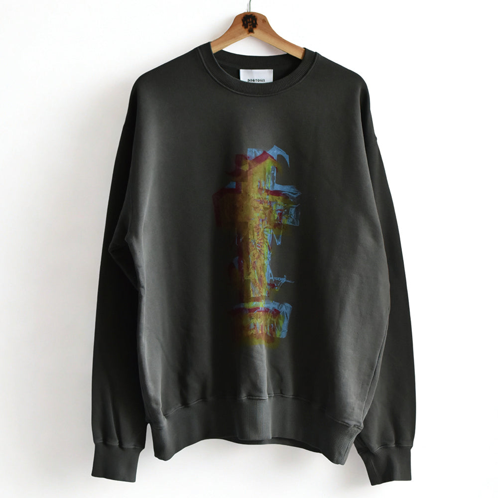 2026AW DOGTOWN ３D print Fish  bone　pigment crew sweat