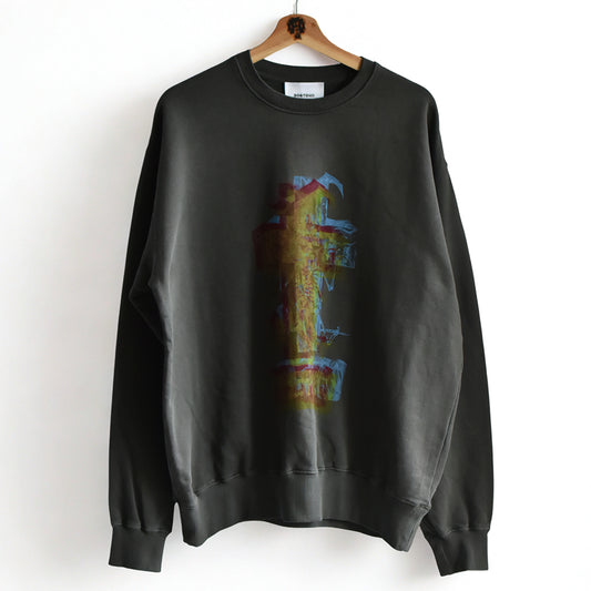 2026AW DOGTOWN ３D print Fish  bone　pigment crew sweat