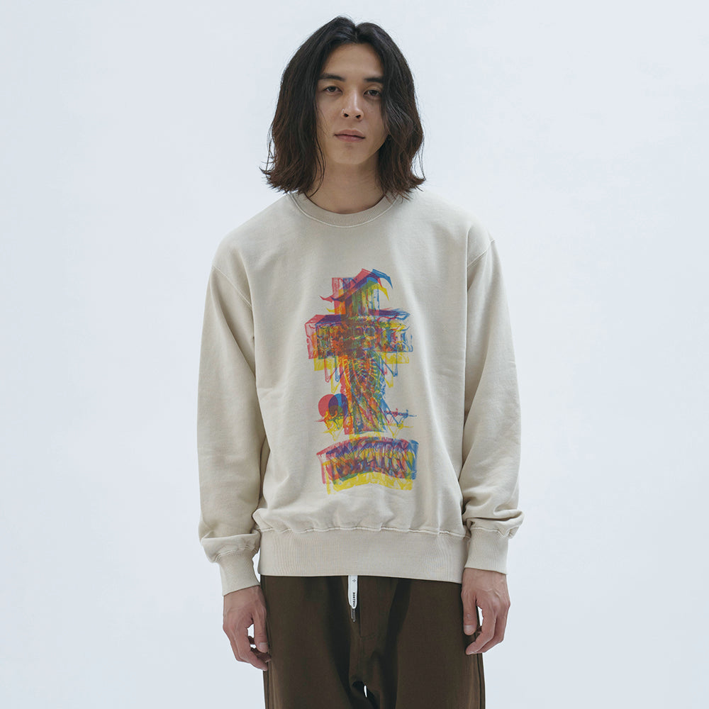 2026AW DOGTOWN ３D print Fish  bone　pigment crew sweat