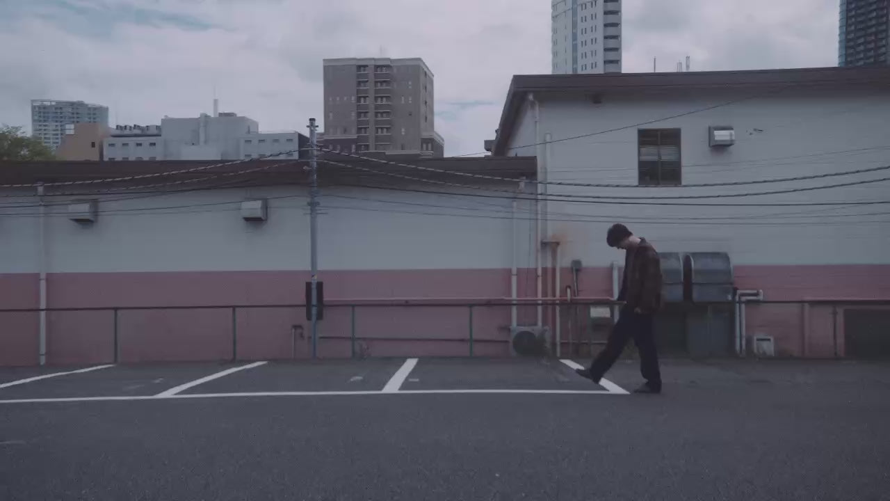 動画を読み込む: 