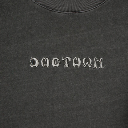 DTS×TORAICHI T-shirt